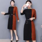 Gathered-waist Long-sleeved Color-block Crewneck A-line Dress