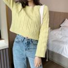 Long-sleeve Plain Cable Knit Top