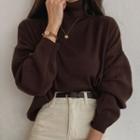 Turtle-neck Sweater In 10 Colors