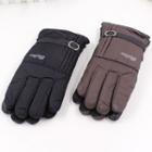 Waterproof Fleece-lined Gloves