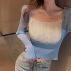 Mesh Panel Knit Crop Top