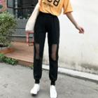 Mesh Panel Sweatpants
