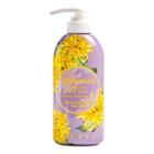 Jigott - Chrysanthemum Perfume Body Lotion 500ml