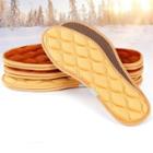 Warming Shoe Insole (3 Pairs)