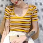 Striped Shirt-sleeve Knit Top