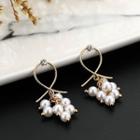 Faux Pearl Drop Earring 1 Pair - White & Gold - One Size