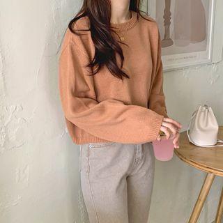 Long-sleeve Crew Neck Plain Knit Top