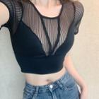 Short-sleeve Cropped Mesh Top