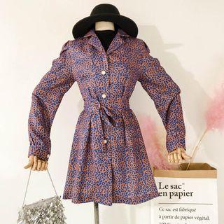 Long-sleeve Animal Print A-line Dress