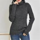 Turtle-neck M Lange Ribbed Sweater