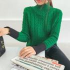 Turtleneck Two-tone Cable Sweater