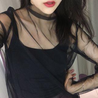Sheer Turtleneck Long-sleeve Top