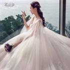 Lace Panel V-neck Trained Wedding Ball Gown