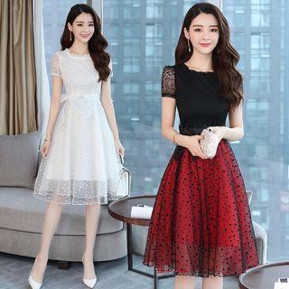Dotted Short Sleeve A-line Mesh Dress
