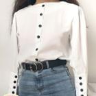 Single-breasted Long Sleeve Blouse