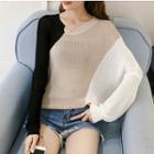 Batwing-sleeve Contrast Color Sweater