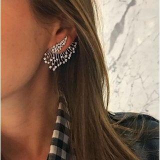 Rhinestone Alloy Fringed Earring 1 Pc - Silver - One Size