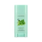 Nature Republic - Mint Solution Hair Fresh Stick Wax 14g 14g
