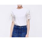 Lace Panel Bell-sleeve Top