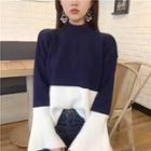 Two Tone Mock Neck Sweater
