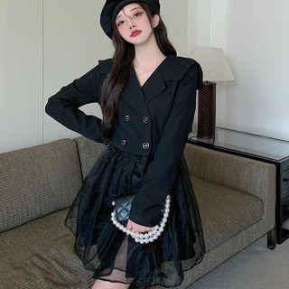 Long-sleeve Double-breasted Mesh Panel Mini A-line Dress