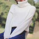 Turtle Neck Rib-knit Boxy Sweater White - One Size