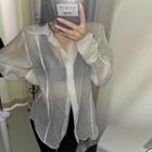 Seam-trim See-through Blouse