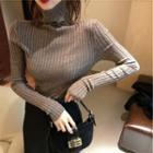Long-sleeve Turtle Neck Knit Top