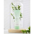 Black Rouge - Cica Green Sun Cream 50ml