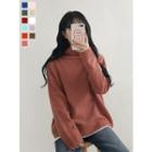 Turtle-neck Loose-fit Knit Top In 11 Colors