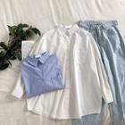 Single-breasted Plain Long-sleeve Blouse