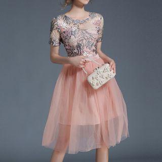Embroidered Short Sleeve Mesh Dress