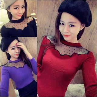 Dotted Mesh Panel Long Sleeve Knit Top