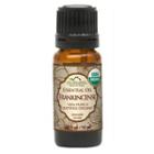 Us Organic - Frankincense (boswellia Serrata) Essential Oil, 10ml 10ml