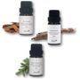 Aster Aroma - Essential Oil 10ml - 3 Types
