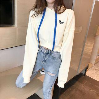 Long Sleeve Embroidered Plain Hooded Pullover Almond - One Size