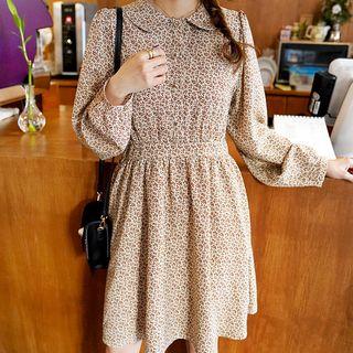 Collared Floral Flare Dress