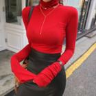 Turtle-neck Extra Long-sleeve Top
