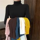 Turtle-neck Plain Skinny Long-sleeve Knitted Top