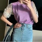 Embroidered Mesh Sleeve Panel Cropped Top