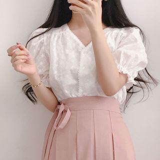 Embroidered Short-sleeve V-neck Blouse