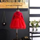 Long-sleeved Fleece-lined Plain Mesh Sheath Dress