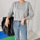 Oversized Cropped Sweatshirt In 11 Colors