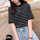 Short-sleeve Buttoned Stripe Knit Top
