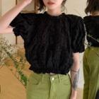 Puff-sleeve Puffy Cropped Blouse