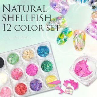 12 Colors Set Shell Fragment Nail Art Decoration 12 Colors Set - One Size