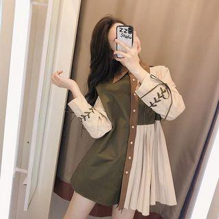 Long-sleeve Paneled Pleated Dress