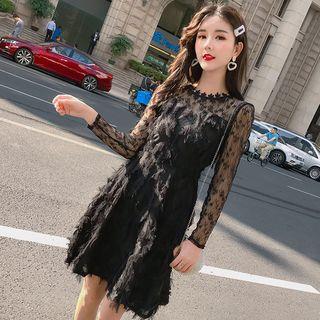 Lace Panel A-line Fringe Dress