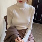 Long-sleeve Turtle Neck Knit Top White - One Size