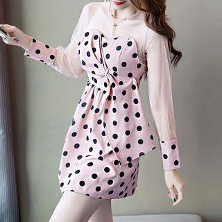 Long-sleeve Mesh Panel Polka Dot Mini A-line Dress